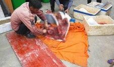 珠海网友最新爆料,揭秘珠海某神秘事件真相！